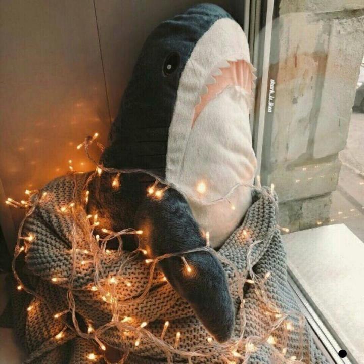 RMS Matthew Stallman